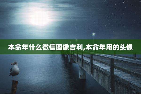 本命年什么微信图像吉利,本命年用的头像