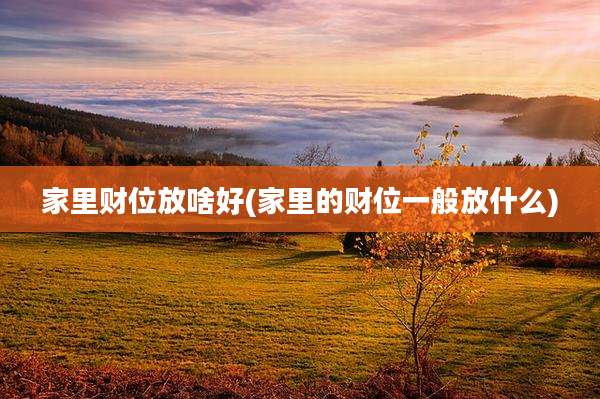 家里财位放啥好(家里的财位一般放什么)