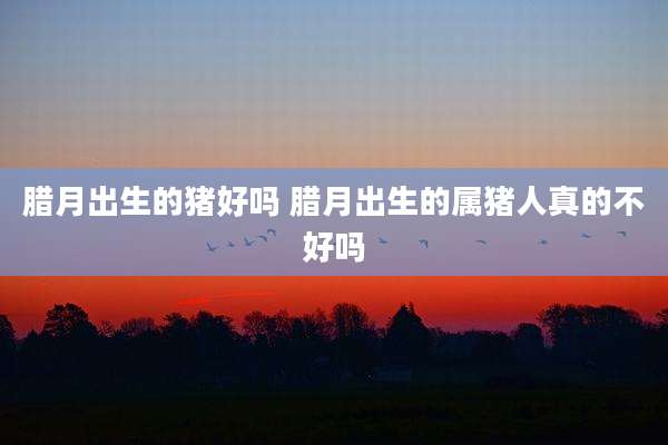 腊月出生的猪好吗 腊月出生的属猪人真的不好吗
