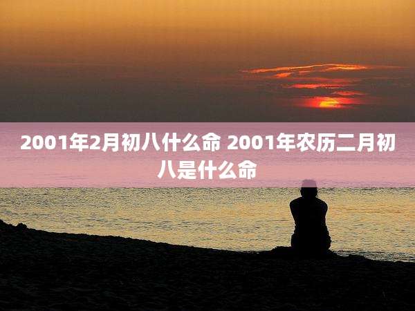 2001年2月初八什么命 2001年农历二月初八是什么命