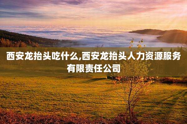 西安龙抬头吃什么,西安龙抬头人力资源服务有限责任公司