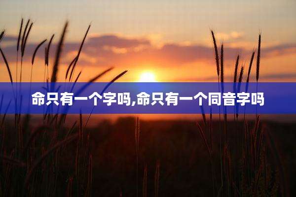 命只有一个字吗,命只有一个同音字吗