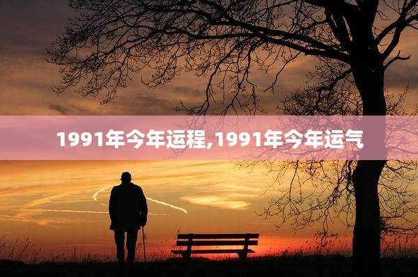 1991年今年运程,1991年今年运气