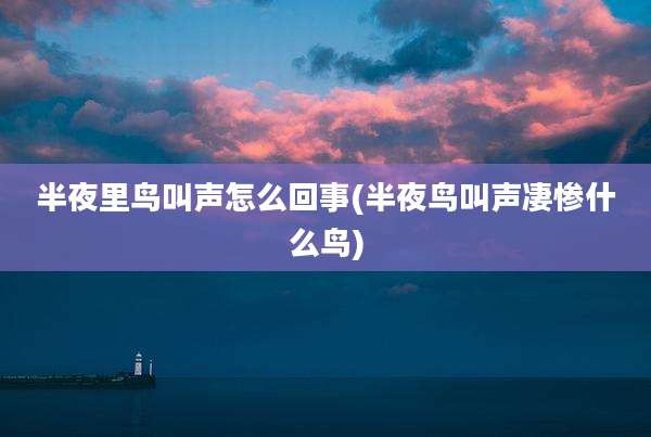 半夜里鸟叫声怎么回事(半夜鸟叫声凄惨什么鸟)