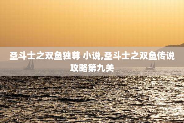圣斗士之双鱼独尊 小说,圣斗士之双鱼传说攻略第九关