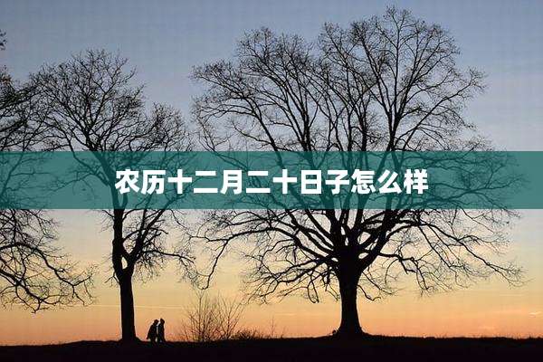 农历十二月二十日子怎么样