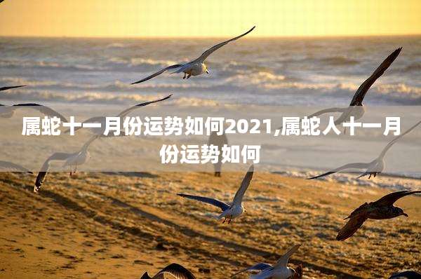 属蛇十一月份运势如何2021,属蛇人十一月份运势如何
