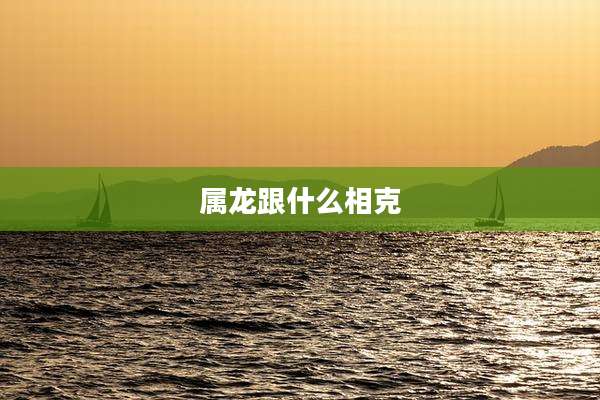 属龙跟什么相克