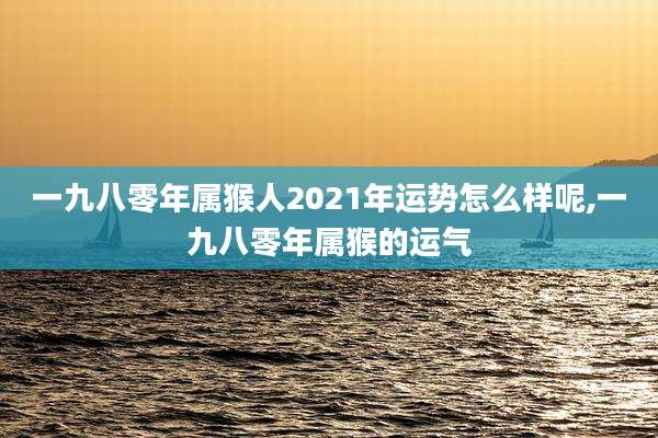 一九八零年属猴人2021年运势怎么样呢,一九八零年属猴的运气