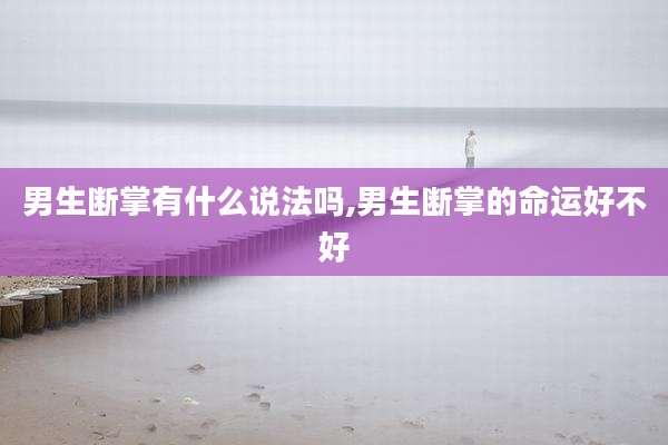 男生断掌有什么说法吗,男生断掌的命运好不好