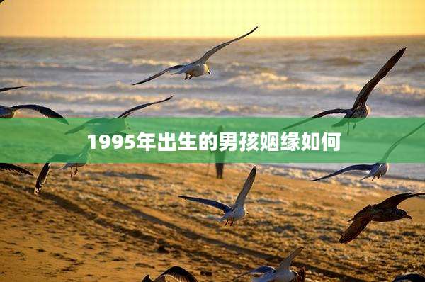 1995年出生的男孩姻缘如何