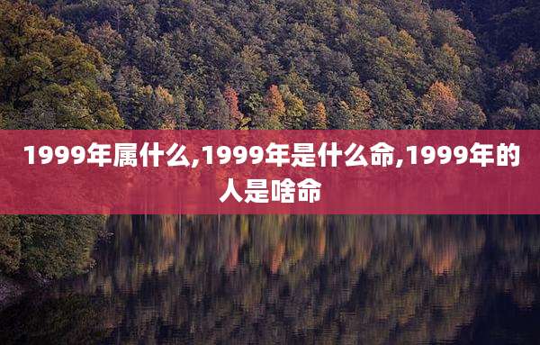 1999年属什么,1999年是什么命,1999年的人是啥命