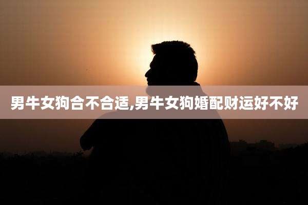 男牛女狗合不合适,男牛女狗婚配财运好不好