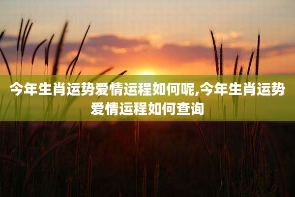 今年生肖运势爱情运程如何呢,今年生肖运势爱情运程如何查询