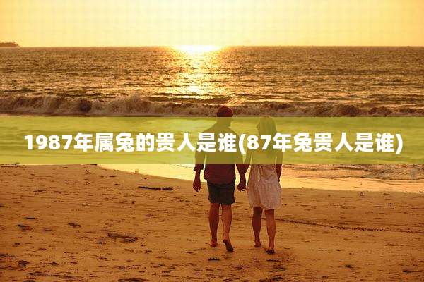 1987年属兔的贵人是谁(87年兔贵人是谁)