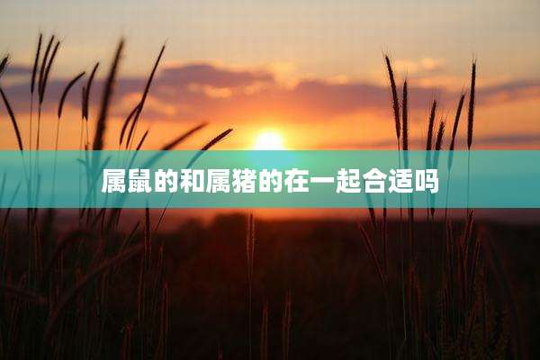 属鼠的和属猪的在一起合适吗