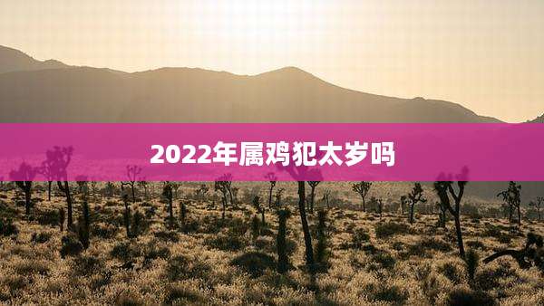 2022年属鸡犯太岁吗