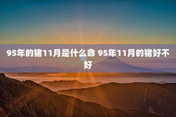 95年的猪11月是什么命 95年11月的猪好不好
