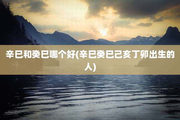 辛巳和癸巳哪个好(辛巳癸巳己亥丁卯出生的人)
