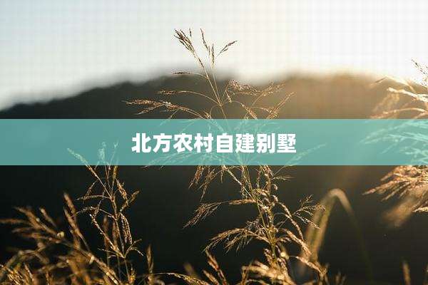 北方农村自建别墅