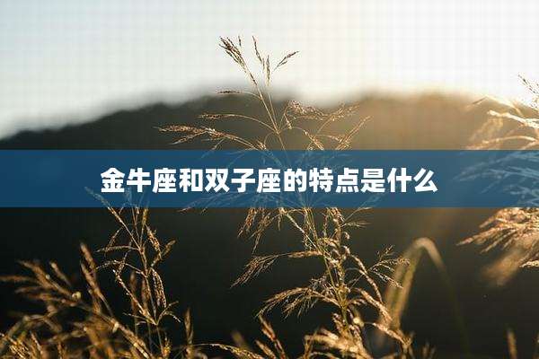 金牛座和双子座的特点是什么