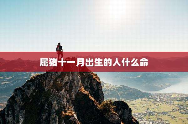 属猪十一月出生的人什么命