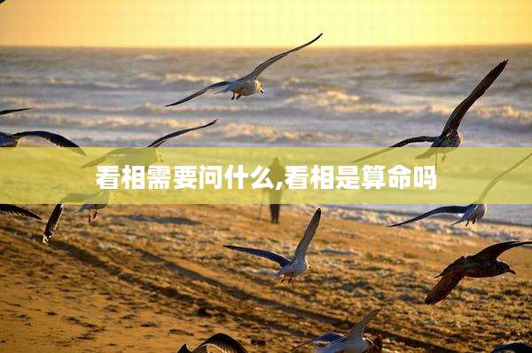看相需要问什么,看相是算命吗