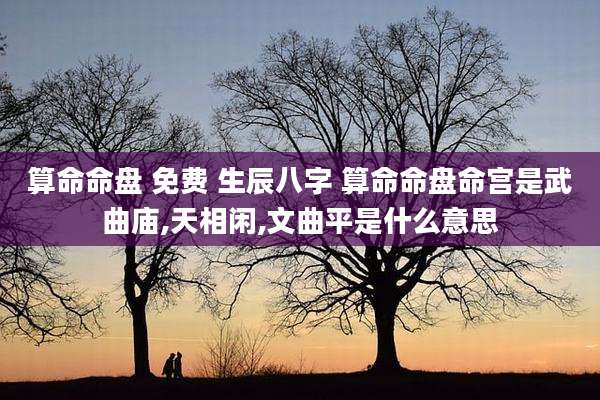 算命命盘 免费 生辰八字 算命命盘命宫是武曲庙,天相闲,文曲平是什么意思