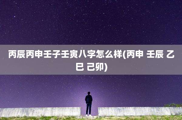 丙辰丙申壬子壬寅八字怎么样(丙申 壬辰 乙巳 己卯)