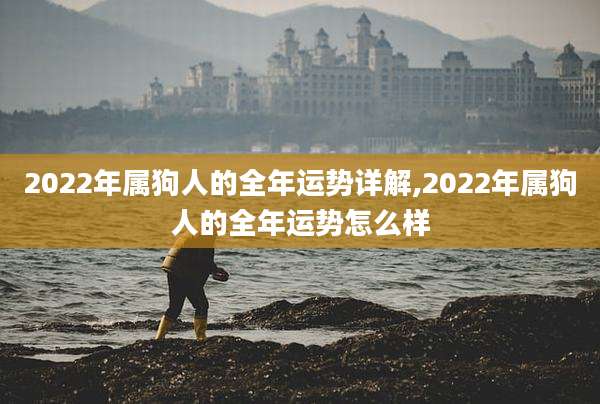 2022年属狗人的全年运势详解,2022年属狗人的全年运势怎么样