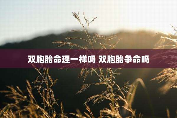 双胞胎命理一样吗 双胞胎争命吗