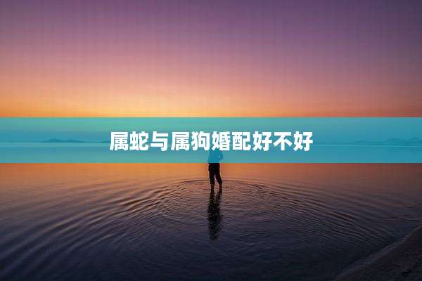 属蛇与属狗婚配好不好