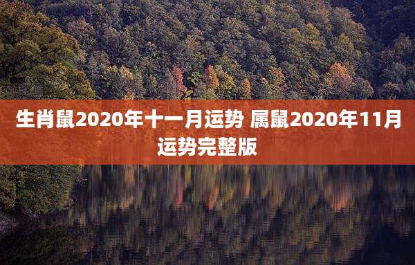 生肖鼠2020年十一月运势 属鼠2020年11月运势完整版