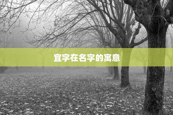宜字在名字的寓意