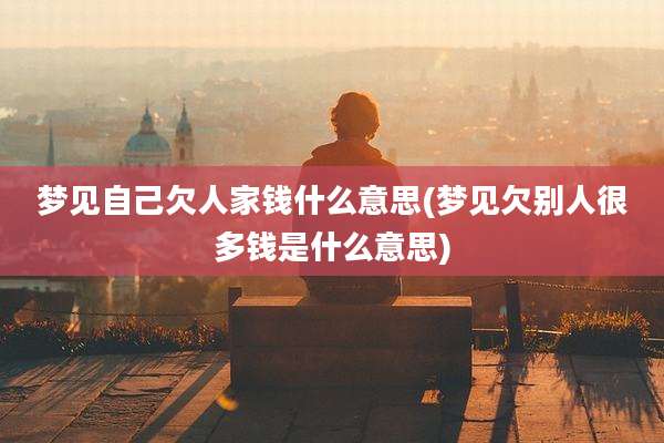 梦见自己欠人家钱什么意思(梦见欠别人很多钱是什么意思)