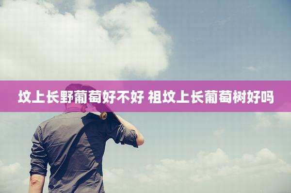 坟上长野葡萄好不好 祖坟上长葡萄树好吗
