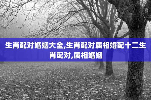 生肖配对婚姻大全,生肖配对属相婚配十二生肖配对,属相婚姻