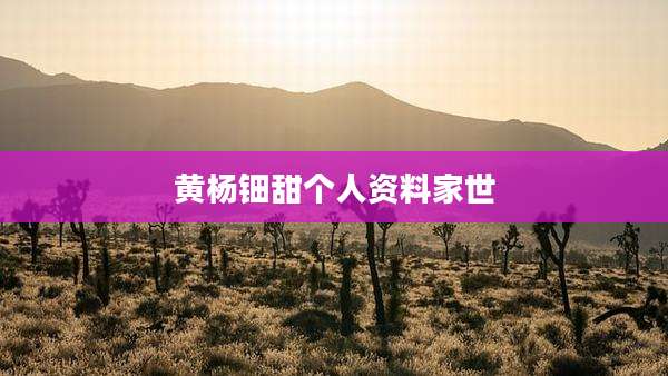 黄杨钿甜个人资料家世