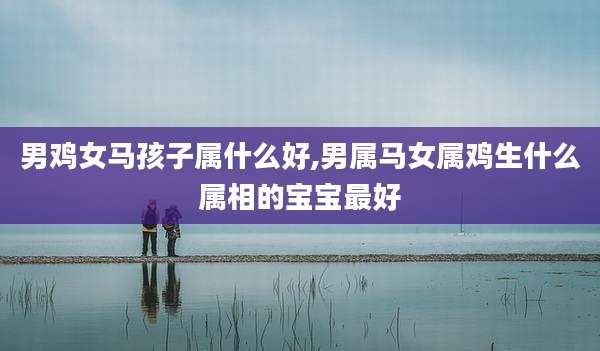 男鸡女马孩子属什么好,男属马女属鸡生什么属相的宝宝最好