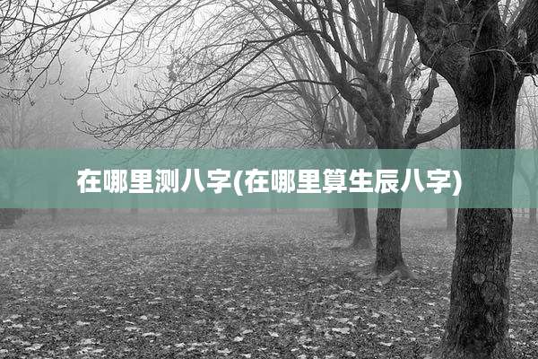 在哪里测八字(在哪里算生辰八字)