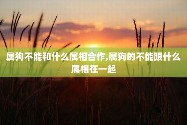 属狗不能和什么属相合作,属狗的不能跟什么属相在一起