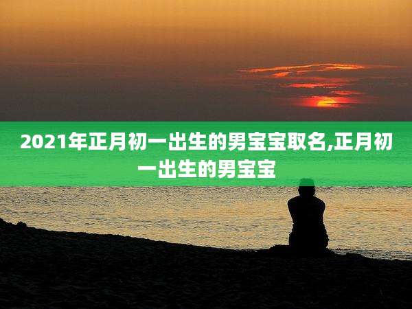 2021年正月初一出生的男宝宝取名,正月初一出生的男宝宝