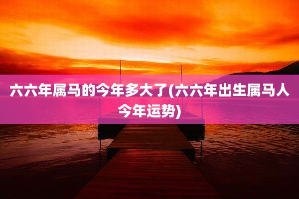 六六年属马的今年多大了(六六年出生属马人今年运势)