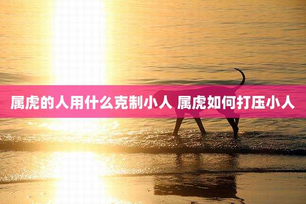 属虎的人用什么克制小人 属虎如何打压小人