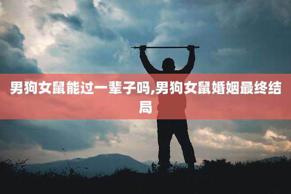 男狗女鼠能过一辈子吗,男狗女鼠婚姻最终结局