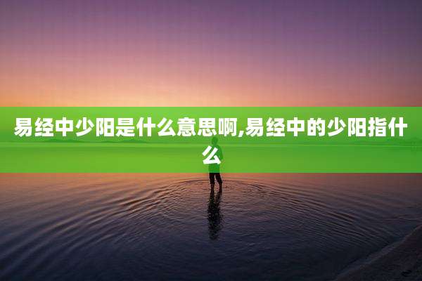 易经中少阳是什么意思啊,易经中的少阳指什么