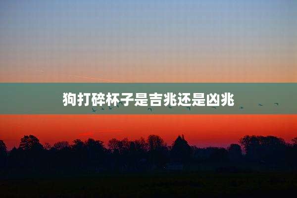 狗打碎杯子是吉兆还是凶兆
