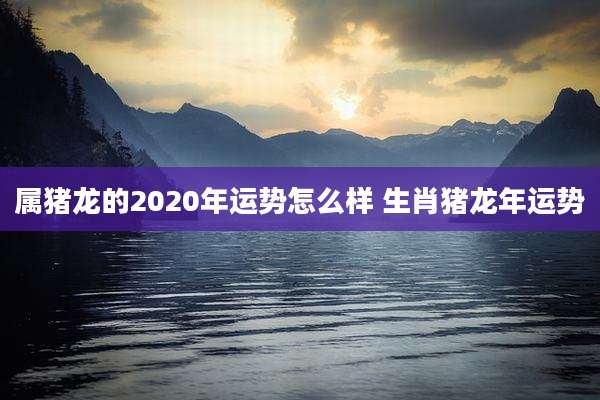 属猪龙的2020年运势怎么样 生肖猪龙年运势