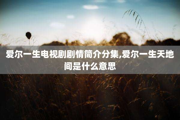 爱尔一生电视剧剧情简介分集,爱尔一生天地间是什么意思