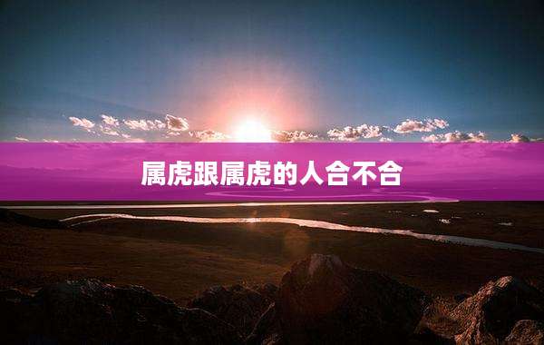 属虎跟属虎的人合不合
